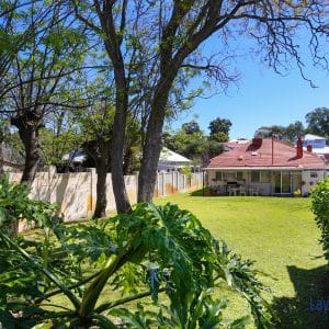 31 Arundel Street Bayswater view of rear big block through the trees
