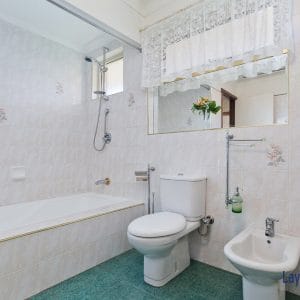 Bath and bidet picture.