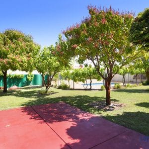 Fruit trees picture.