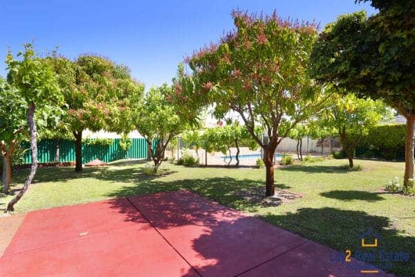 Fruit trees picture.