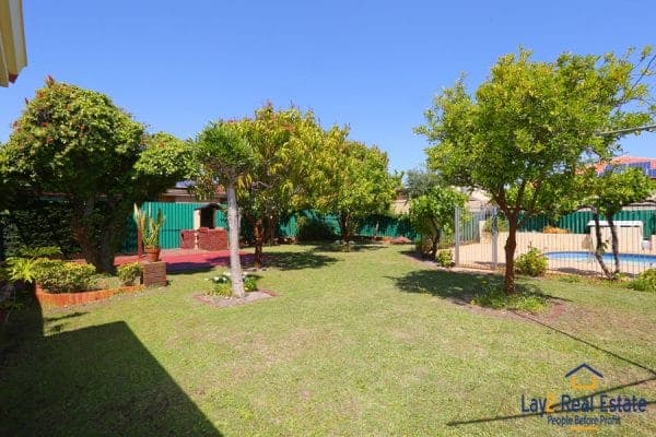Back yard and fruit trees picture