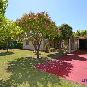 Backyard and driveway picture.