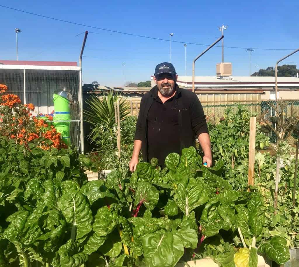 Sam at the Bayswater Community Gardens