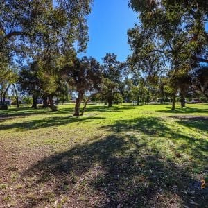 49B Havenvale Crescent, Dianella. FIRST HOMEBUYER SPECIAL Affordable three bedroom duplex half with two living areas. - Image 13