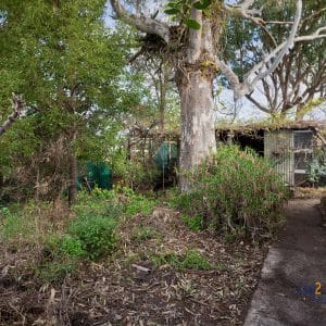 96 Roberts Street, Bayswater 6053. Original Condition Character Home. - Image 9