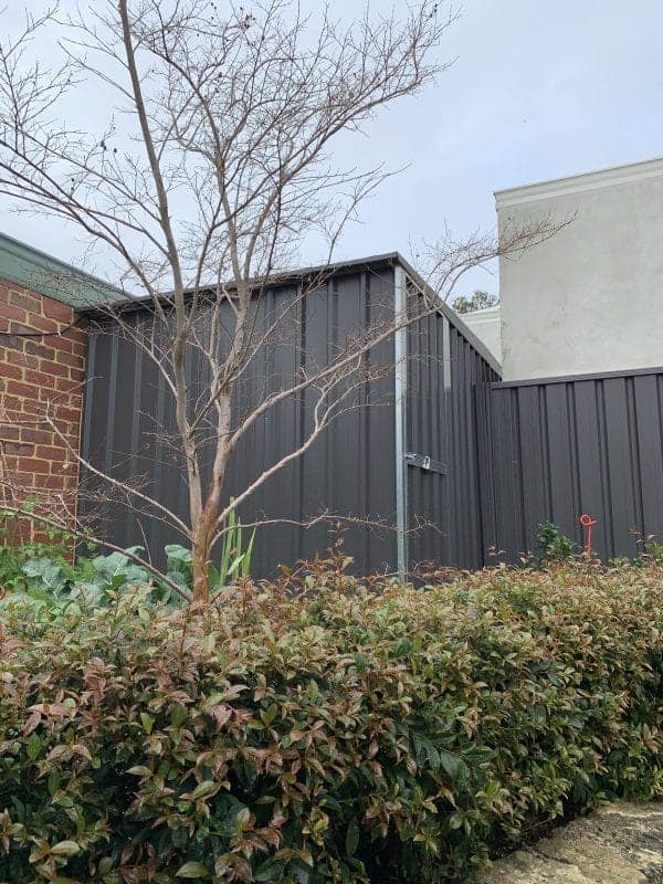 13 May Street, Bayswater WA  Completely Renovated Circa 1925 Weatherboard Cottage - Image 19