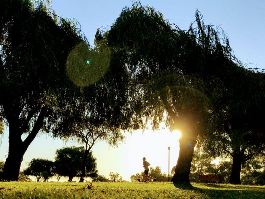A jogger runs at Riverside Gardens Bayswater at Sunset