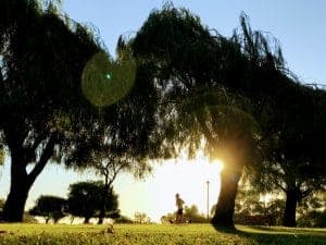 A jogger runs at Riverside Gardens Bayswater at Sunset