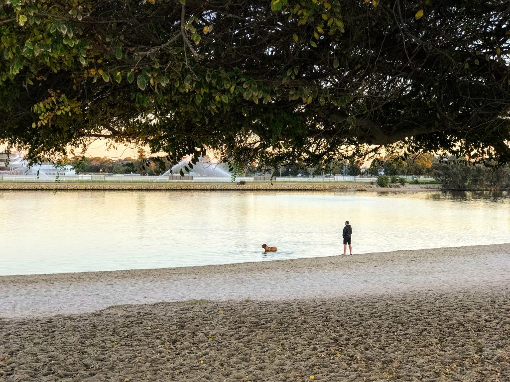 A man and his dog at sunset at Bayswater Riverside Gardens