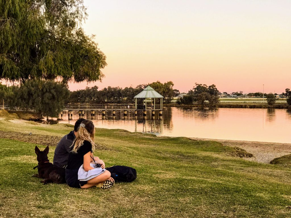 A couple and their dog enjoy a sunset picnic in Bayswater