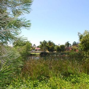 5/9-11 Tom's Court Bayswater WA 6053 - Well Located, Affordable 3 Bed Villa - Image 15