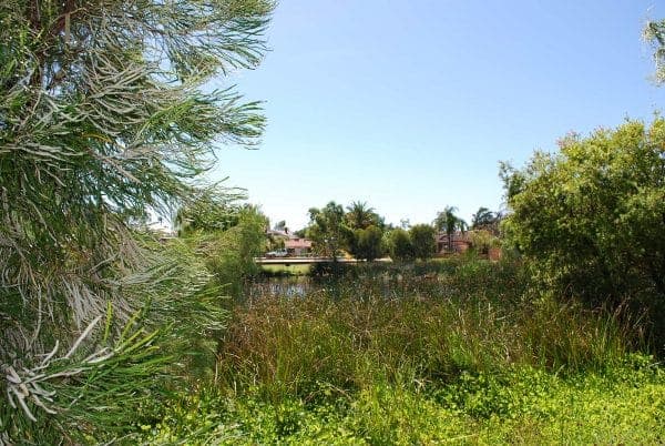 5/9-11 Tom's Court Bayswater WA 6053 - Well Located, Affordable 3 Bed Villa - Image 15