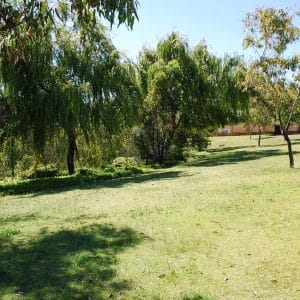 5/9-11 Tom's Court Bayswater WA 6053 - Well Located, Affordable 3 Bed Villa - Image 17