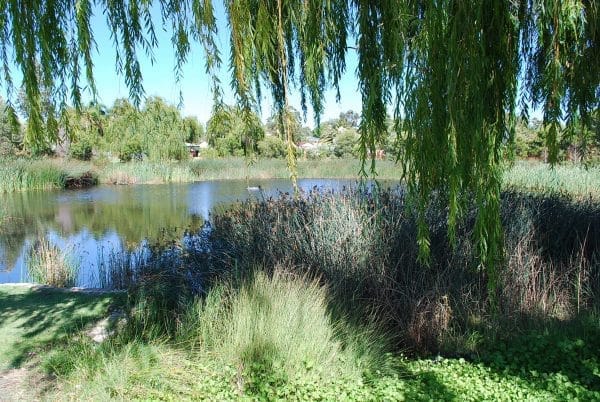5/9-11 Tom's Court Bayswater WA 6053 - Well Located, Affordable 3 Bed Villa - Image 3