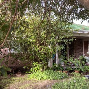 258 Carrington Street Hilton WA 6163 SOLD - 552 sqm Green Title Block - SOLD - Image 3