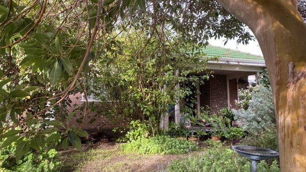 258 Carrington Street Hilton WA 6163 SOLD - 552 sqm Green Title Block - SOLD - Image 3