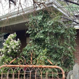258 Carrington Street Hilton WA 6163 SOLD - 552 sqm Green Title Block - SOLD - Image 7