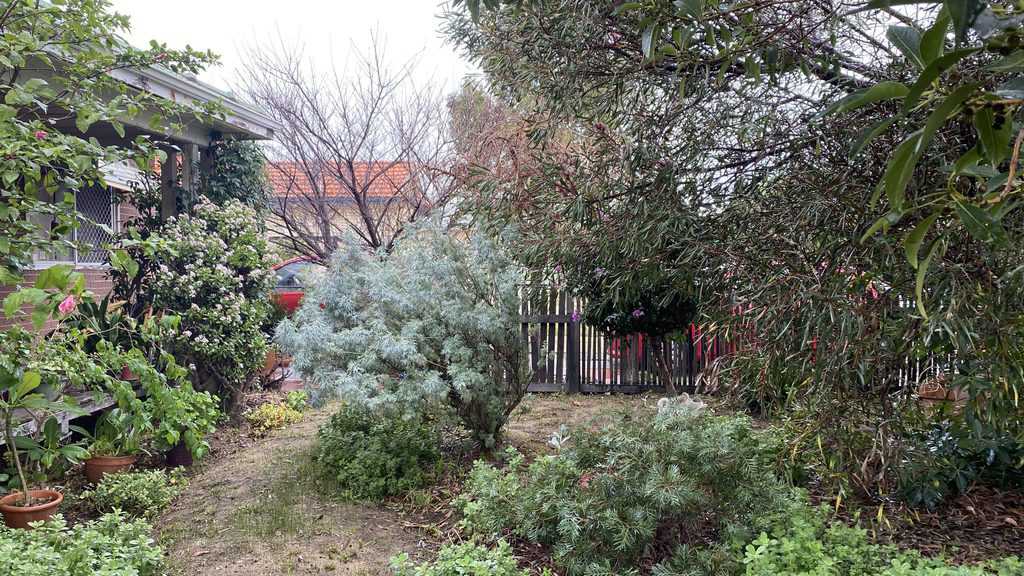 258 Carrington Street Hilton WA 6163 SOLD - 552 sqm Green Title Block - SOLD - Image 8