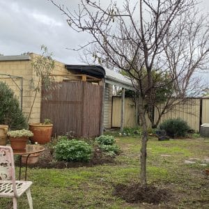 258 Carrington Street Hilton WA 6163 SOLD - 552 sqm Green Title Block - SOLD - Image 12