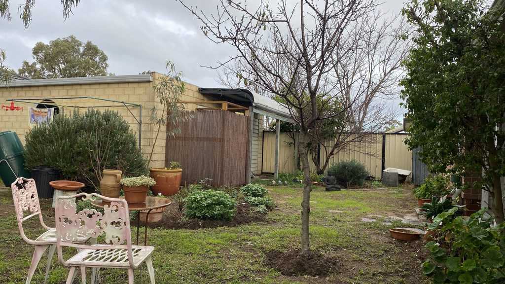 258 Carrington Street Hilton WA 6163 SOLD - 552 sqm Green Title Block - SOLD - Image 12