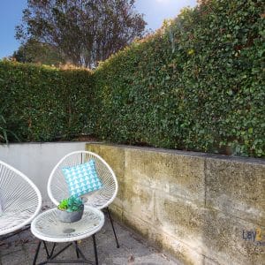 52D Kenilworth Street Maylands WA 6051 SOLD - MORE HOMES WANTED! - Image 20