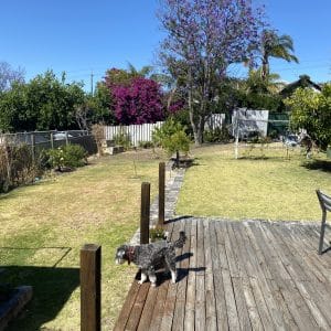 48 Leake Street Bayswater WA 6053 Gold Star Character 5 Star Location! - Image 14