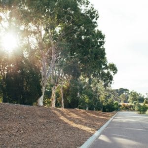 33 Lockhart Crescent South Guildford WA 6053 Serviced 435sqm Land Overlooking Bushland! - Image 5