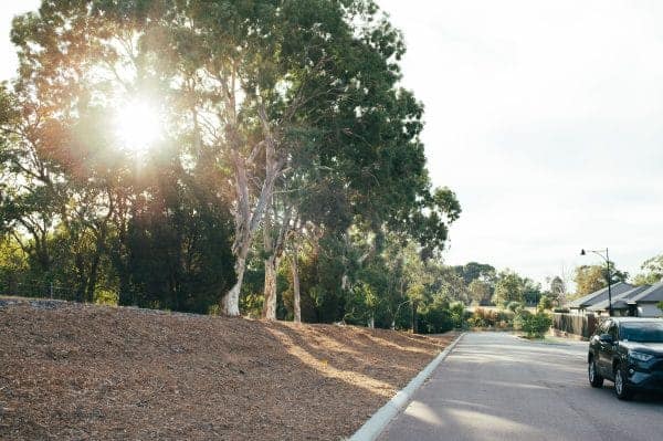 33 Lockhart Crescent South Guildford WA 6053 Serviced 435sqm Land Overlooking Bushland! - Image 5