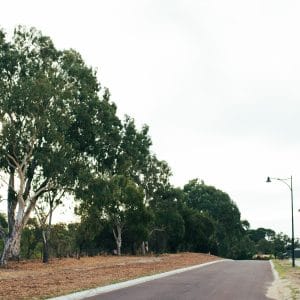 33 Lockhart Crescent South Guildford WA 6053 Serviced 435sqm Land Overlooking Bushland! - Image 8