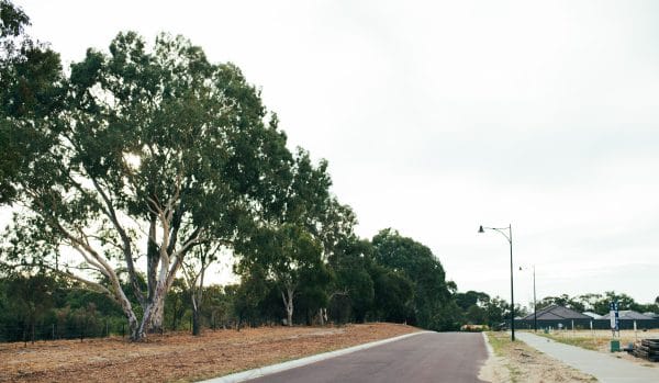 33 Lockhart Crescent South Guildford WA 6053 Serviced 435sqm Land Overlooking Bushland! - Image 8