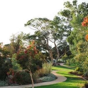 33 Lockhart Crescent South Guildford WA 6053 Serviced 435sqm Land Overlooking Bushland! - Image 10
