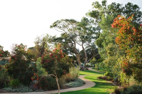 33 Lockhart Crescent South Guildford WA 6053 Serviced 435sqm Land Overlooking Bushland! - Image 10