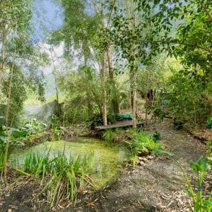 25A Anzac Street Bayswater WA 6053 3 Bedroom Duplex Half Set Amongst The Gumtrees! - Image 15