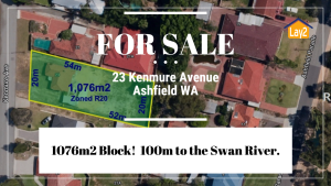 23 Kenmure Avenue Ashfield large 1,076m2 block for sale by Lay2 Real Estate location image.