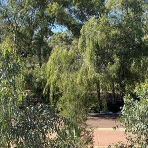 Alternative view of 20 Bellevue Street, Bayswater WA 6053 - ( NOW SOLD!) Rare Riverside Precinct Land!