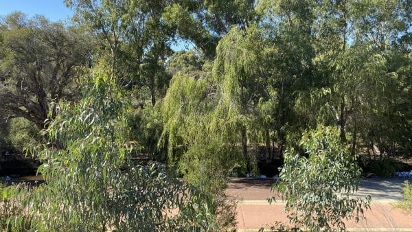20 Bellevue Street, Bayswater WA 6053 - ( NOW SOLD!) Rare Riverside Precinct Land! - Image 2