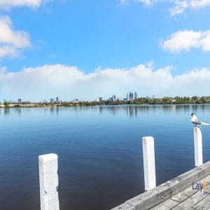 15A Watson Place Maylands WA 6051 SOLD - Lovely Villa with Street Frontage - Image 12