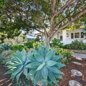 Cottage Elegance Surrounded by Whimsical Gardens | 2 Gilbert Street Bayswater WA - Image 4