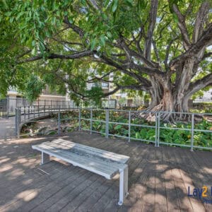 A Xmas Cracker!  99/1 Rowe Avenue Rivervale WA 6103 - Image 3